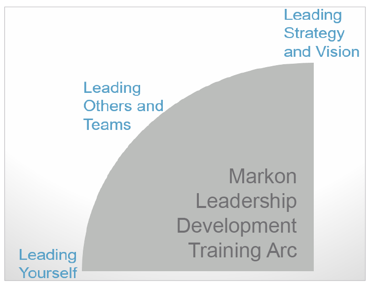 Leadership Development Program (LDP) Participants Lead Strategy